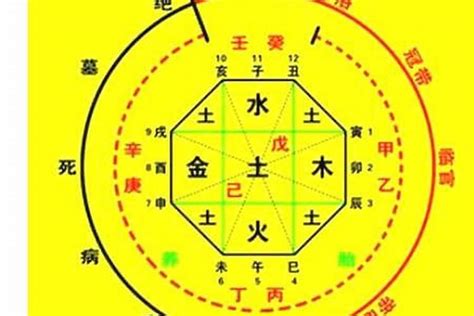 八字神煞重要嗎|八字命理—神煞指的是什么？（基础）